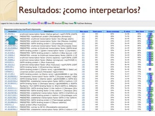 Resultados: ¿como interpetarlos?
 