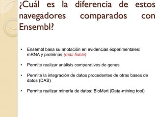 ¿Cuál es la diferencia de estos
navegadores comparados con
Ensembl?

•   Ensembl basa su anotación en evidencias experimentales:
    mRNA y proteínas (más fiable)

•   Permite realizar análisis comparativos de genes

•   Permite la integración de datos procedentes de otras bases de
    datos (DAS)

•   Permite realizar minería de datos: BioMart (Data-mining tool)
 