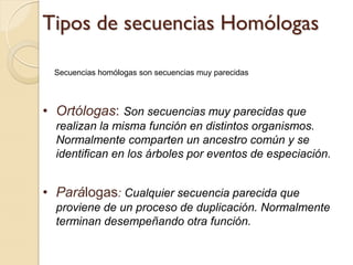 Tipos de secuencias Homólogas

  Secuencias homólogas son secuencias muy parecidas




• Ortólogas: Son secuencias muy parecidas que
  realizan la misma función en distintos organismos.
  Normalmente comparten un ancestro común y se
  identifican en los árboles por eventos de especiación.


• Parálogas: Cualquier secuencia parecida que
  proviene de un proceso de duplicación. Normalmente
  terminan desempeñando otra función.
 