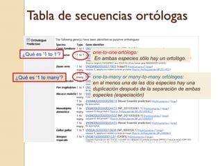 Tabla de secuencias ortólogas

  ¿Qué es „1 to 1‟?    one-to-one ortólogo:
                       En ambas especies sólo hay un ortológo.


¿Qué es „1 to many‟?   one-to-many or many-to-many ortólogos:
                       en al menos una de las dos especies hay una
                       duplicación después de la separación de ambas
                       especies (especiación)
 