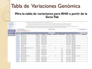 Tabla de Variaciones Genómica
 Mira la tabla de variaciones para RHO a partir de la
                        Gene Tab
 