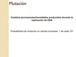Mutación

Cambios permanentes/heredables producidos durante la
               replicación de DNA



Probabilidad de mutación en células humanas: 1 de cada 105
 
