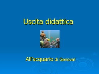 Uscita didattica   All’acquario  di Genova! 