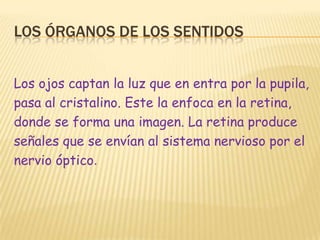 Los órganos de los sentidosLos ojos captan la luz que en entra por la pupila,pasa al cristalino. Este la enfoca en la retina,donde se forma una imagen. La retina produceseñales que se envían al sistema nervioso por elnervio óptico.