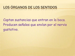 Los órganos de los sentidosCaptan sustancias que entran en la boca.Producen señales que envían por el nerviogustativo.