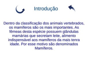 Introdução
Dentro da classificação dos animais vertebrados,
os mamíferos são os mais importantes. As
fêmeas desta espécie possuem glândulas
mamárias que secretam leite, alimento
indispensável aos mamíferos da mais tenra
idade. Por esse motivo são denominados
Mamíferos.
 