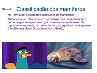 Classificação dos mamíferos
Na Terra atual existem três subclasses de mamíferos:
● Monotremados. São mamíferos primitivos cuja boca possui bico
córneo e que se reproduzem por meio da postura de ovos. Os
representantes atuais, os ornitorrincos e as equidnas restringem-se
à região australiana (Austrália e Nova Guiné);
 