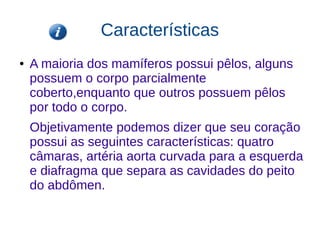 Características
● A maioria dos mamíferos possui pêlos, alguns
possuem o corpo parcialmente
coberto,enquanto que outros possuem pêlos
por todo o corpo.
Objetivamente podemos dizer que seu coração
possui as seguintes características: quatro
câmaras, artéria aorta curvada para a esquerda
e diafragma que separa as cavidades do peito
do abdômen.
 
