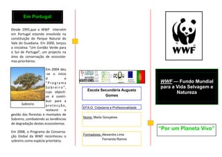 Em Portugal

Desde 1995,que a WWF intervém
em Portugal estando envolvida na
constituição do Parque Natural do
Vale do Guadiana. Em 2000, lançou
a iniciativa “Um Cordão Verde para
o Sul de Portugal”, um projecto na
área da conservação de ecossiste-
mas prioritários.

                       Em 2004 deu
                       -se o início
                       d               o
                       “Programa                                                  WWF — Fundo Mundial
                       S o b r e i r o ”,                                         para a Vida Selvagem e
                                              Escola Secundária Augusto
                       cujo objecti-                                                     Natureza
                       vo é contri-                    Gomes
                       buir para a
       Sobreiro        protecção,
                                            EFA-G Cidadania e Profissionalidade
                       restauro         e
gestão das florestas e montados de
                                            Nome: Marta Gonçalves
Sobreiro, combatendo as tendências
de degradação destes ecossistemas.
                                                                                  “Por um Planeta Vivo”
Em 2008, o Programa de Conserva-
                                            Formadores: Alexandra Lima
ção Global da WWF reconheceu o
                                                        Fernanda Ramos
sobreiro como espécie prioritária.
 