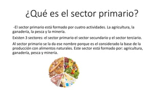 ¿Qué es el sector primario?
-El sector primario está formado por cuatro actividades. La agricultura, la
ganadería, la pesca y la minería.
Existen 3 sectores: el sector primario el sector secundario y el sector terciario.
Al sector primario se la da ese nombre porque es el considerado la base de la
producción con alimentos naturales. Este sector está formado por: agricultura,
ganadería, pesca y minería.
 