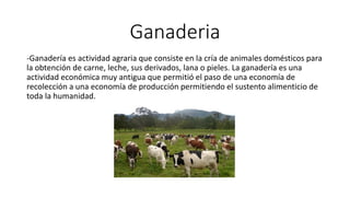 Ganaderia
-Ganadería es actividad agraria que consiste en la cría de animales domésticos para
la obtención de carne, leche, sus derivados, lana o pieles. La ganadería es una
actividad económica muy antigua que permitió el paso de una economía de
recolección a una economía de producción permitiendo el sustento alimenticio de
toda la humanidad.
 