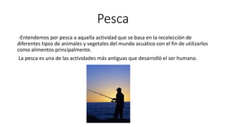 Pesca
-Entendemos por pesca a aquella actividad que se basa en la recolección de
diferentes tipos de animales y vegetales del mundo acuático con el fin de utilizarlos
como alimentos principalmente.
La pesca es una de las actividades más antiguas que desarrolló el ser humano.
 