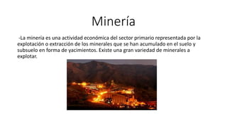 Minería
-La minería es una actividad económica del sector primario representada por la
explotación o extracción de los minerales que se han acumulado en el suelo y
subsuelo en forma de yacimientos. Existe una gran variedad de minerales a
explotar.
 