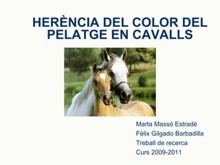 HERÈNCIA DEL COLOR DEL PELATGE EN CAVALLS Marta Massó Estradé Fèlix Gilgado Barbadilla Treball de recerca Curs 2009-2011 