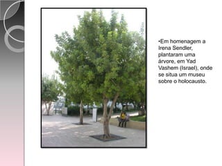 Recebeu ainda o Prémio Príncipe de Astúrias da Concórdia de 2007, galardão concedido pela Fundación Príncipe de Asturias, na cidade de Oviedo (Espanha).Al Gore31de Março de1948