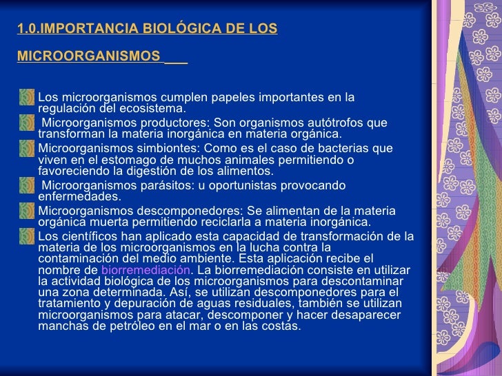 Si puede hincharse el pie del hongo