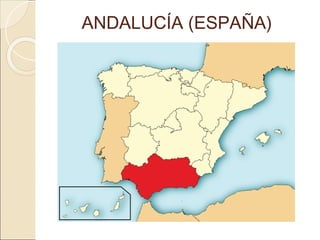 ANDALUCÍA (ESPAÑA)
 