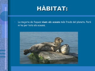 HÀBITAT: La majoria de foques  viuen als oceans  més freds del planeta. Però ni ha per tots els oceans.  