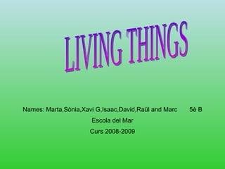 Names: Marta,Sònia,Xavi G,Isaac,David,Raül and Marc  5è B Escola del Mar Curs 2008-2009 LIVING THINGS 