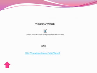 http://ca.wikipedia.org/wiki/Vaixell
VIDEO DEL VAIXELL:
LINK:
 