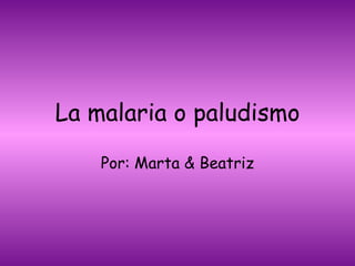 La malaria o paludismo Por: Marta & Beatriz 