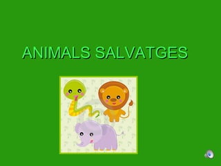 ANIMALS SALVATGES 