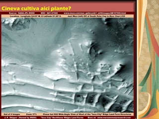 Cineva cultiva aici plante?
 