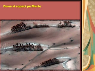 Dune si copaci pe Marte
 