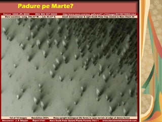 Padure pe Marte?
 