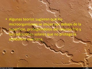 • Algunas teorías sugieren que los
microorganismos se sitúan por debajo de la
superficie, protegiéndolos del intenso frío y
las radiaciones solares que no protege la
atmósfera marciana.

 