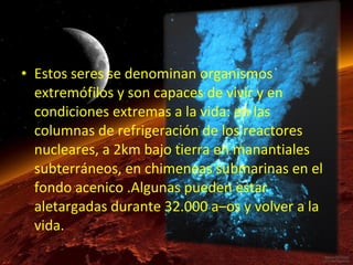 • Estos seres se denominan organismos
extremófilos y son capaces de vivir y en
condiciones extremas a la vida: en las
columnas de refrigeración de los reactores
nucleares, a 2km bajo tierra en manantiales
subterráneos, en chimeneas submarinas en el
fondo acenico .Algunas pueden estar
aletargadas durante 32.000 a–os y volver a la
vida.

 