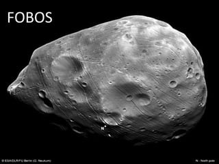 FOBOS

`

 