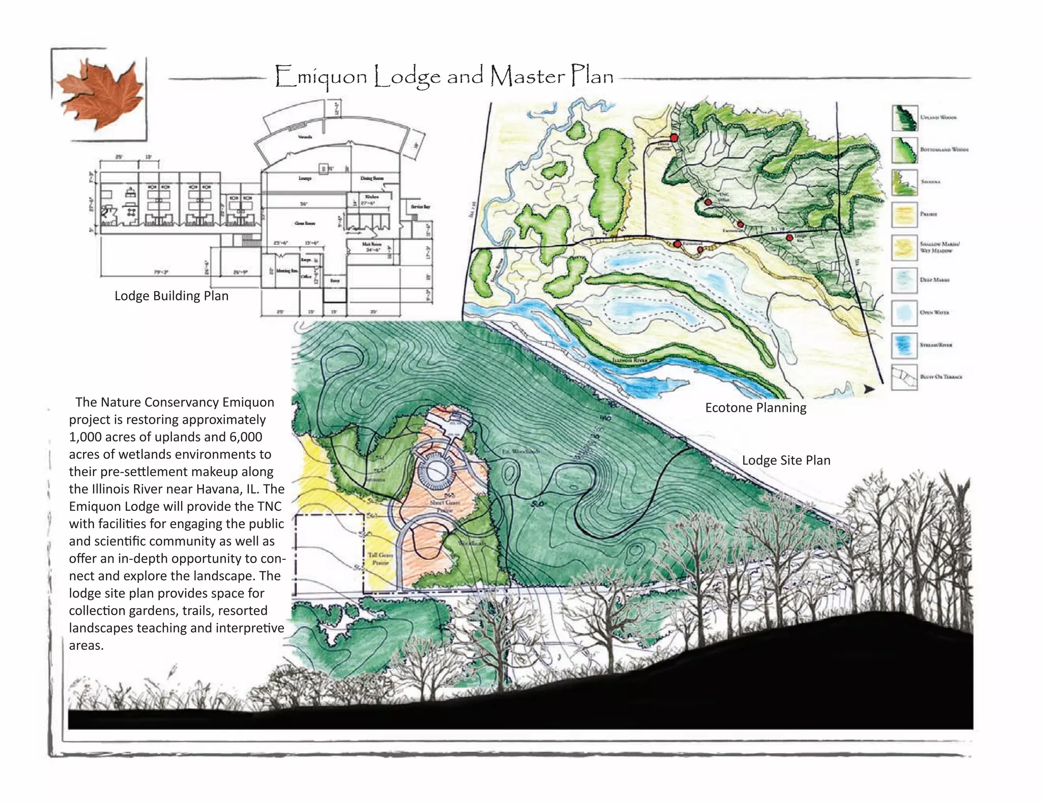 Emiquon Lodge and Master Plan




        Lodge Building Plan




 The Nature Conservancy Emiquon                                     Ecotone Planning
project is restoring approximately
1,000 acres of uplands and 6,000
acres of wetlands environments to                                        Lodge Site Plan
their pre-settlement makeup along
the Illinois River near Havana, IL. The
Emiquon Lodge will provide the TNC
with facilities for engaging the public
and scientific community as well as
offer an in-depth opportunity to con-
nect and explore the landscape. The
lodge site plan provides space for
collection gardens, trails, resorted
landscapes teaching and interpretive
areas.
 