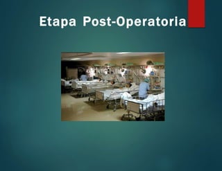 Etapa Post-Operatoria
 