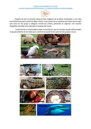 ESCUELA FELIPE BOERO N° 6 DE 20
PLAN DE CONTINUIDAD PEDAGOGICA 4C DOCENTE MARIA EUGENIA ROMERO
 