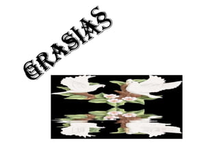 GRASIASGRASIAS