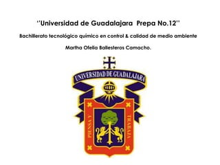 ‘’Universidad de Guadalajara Prepa No.12’’ 
Bachillerato tecnológico químico en control & calidad de medio ambiente 
Martha Ofelia Ballesteros Camacho. 
 