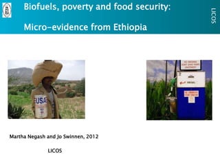 Biofuels, poverty and food security:




                                            LICOS
     Micro-evidence from Ethiopia




Martha Negash and Jo Swinnen, 2012

              LICOS
 