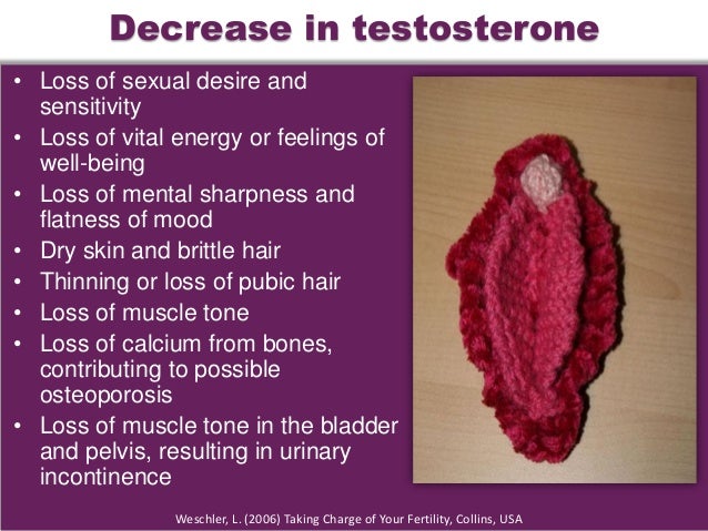 Menopause Management Strategies