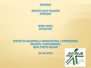 SISTEMAS
MARTHA LUCIA PALACIOS
APRENDIZ
BORIS VESGA
ESTRUCTOR
CENTRO DE DESARROLLO AGROIDUSTRIAL Y EMPRESARIAL
REGIONAL CUNDINAMARCA
SENA PUERTO SALGAR
10/02/2015
 