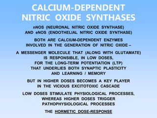 CALCIUM-DEPENDENT
NITRIC OXIDE SYNTHASES
nNOS (NEURONAL NITRIC OXIDE SYNTHASE)
AND eNOS (ENDOTHELIAL NITRIC OXIDE SYNTHASE)
BOTH ARE CALCIUM-DEPENDENT ENZYMES
INVOLVED IN THE GENERATION OF NITRIC OXIDE –
A MESSENGER MOLECULE THAT (ALONG WITH GLUTAMATE)
IS RESPONSIBLE, IN LOW DOSES,
FOR THE LONG-TERM POTENTIATION (LTP)
THAT UNDERLIES BOTH SYNAPTIC PLASTICITY
AND LEARNING / MEMORY
BUT IN HIGHER DOSES BECOMES A KEY PLAYER
IN THE VICIOUS EXCITOTOXIC CASCADE
LOW DOSES STIMULATE PHYSIOLOGICAL PROCESSES,
WHEREAS HIGHER DOSES TRIGGER
PATHOPHYSIOLOGICAL PROCESSES
THE HORMETIC DOSE-RESPONSE
 
