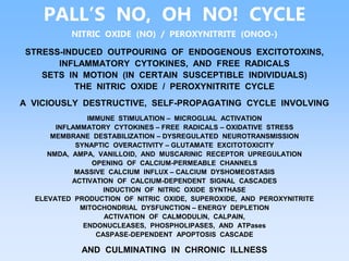 PALL’S NO, OH NO! CYCLE
NITRIC OXIDE (NO) / PEROXYNITRITE (ONOO-)
STRESS-INDUCED OUTPOURING OF ENDOGENOUS EXCITOTOXINS,
INFLAMMATORY CYTOKINES, AND FREE RADICALS
SETS IN MOTION (IN CERTAIN SUSCEPTIBLE INDIVIDUALS)
THE NITRIC OXIDE / PEROXYNITRITE CYCLE
A VICIOUSLY DESTRUCTIVE, SELF-PROPAGATING CYCLE INVOLVING
IMMUNE STIMULATION – MICROGLIAL ACTIVATION
INFLAMMATORY CYTOKINES – FREE RADICALS – OXIDATIVE STRESS
MEMBRANE DESTABILIZATION – DYSREGULATED NEUROTRANSMISSION
SYNAPTIC OVERACTIVITY – GLUTAMATE EXCITOTOXICITY
NMDA, AMPA, VANILLOID, AND MUSCARINIC RECEPTOR UPREGULATION
OPENING OF CALCIUM-PERMEABLE CHANNELS
MASSIVE CALCIUM INFLUX – CALCIUM DYSHOMEOSTASIS
ACTIVATION OF CALCIUM-DEPENDENT SIGNAL CASCADES
INDUCTION OF NITRIC OXIDE SYNTHASE
ELEVATED PRODUCTION OF NITRIC OXIDE, SUPEROXIDE, AND PEROXYNITRITE
MITOCHONDRIAL DYSFUNCTION – ENERGY DEPLETION
ACTIVATION OF CALMODULIN, CALPAIN,
ENDONUCLEASES, PHOSPHOLIPASES, AND ATPases
CASPASE-DEPENDENT APOPTOSIS CASCADE
AND CULMINATING IN CHRONIC ILLNESS
 