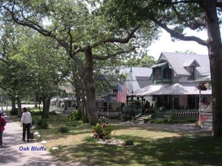 Oak Bluffs
 
