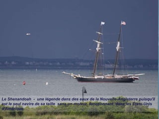 Le Shenandoah - une légende dans des eaux de la Nouvelle-Angleterre puisqu'il
est le seul navire de sa taille sans un moteur fonctionnant dans les États-Unis
d'Amérique.
 