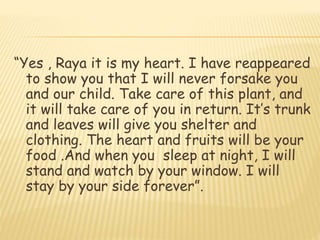 “Yes , Raya it is my heart. I have reappeared
to show you that I will never forsake you
and our child. Take care of this plant, and
it will take care of you in return. It’s trunk
and leaves will give you shelter and
clothing. The heart and fruits will be your
food .And when you sleep at night, I will
stand and watch by your window. I will
stay by your side forever”.
 
