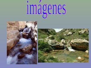 imágenes