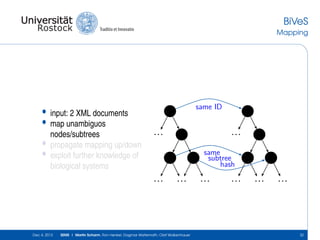 BiVeS
Mapping

•
•
•
•

input: 2 XML documents
map unambiguos
nodes/subtrees
propagate mapping up/down
exploit further knowledge of
biological systems

same ID

...

...
same
subtree
hash

... ... ...

Dec 4, 2013

SEMS | Martin Scharm, Ron Henkel, Dagmar Waltemath, Olaf Wolkenhauer

... ... ...

32

 