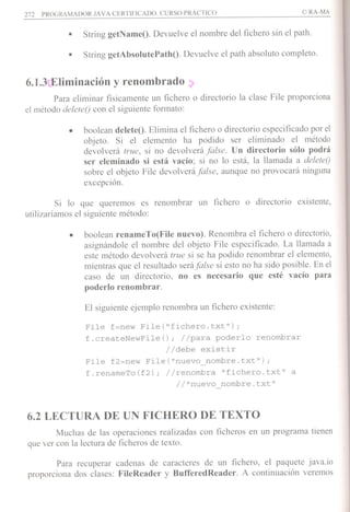 Martin a 2010 programador certificado java 2 | PDF