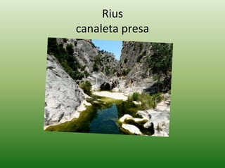 Rius
canaleta presa
 
