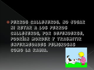  Perros callejeros. No jugar
ni retar a los perros
callejeros, por defenderse,
podrían morder y trasmitir
enfermedades peligrosas
como la rabia.
 